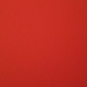 Meet your Posher, Ashlie